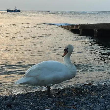 Accommodatie bij particulieren Seafront House