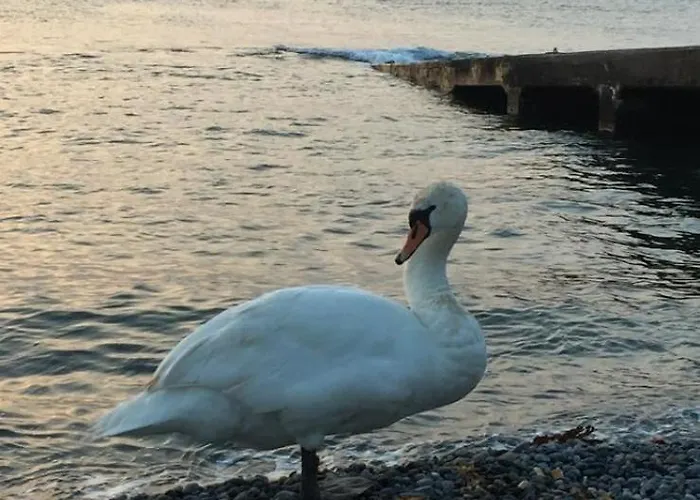 홈스테이 Seafront House